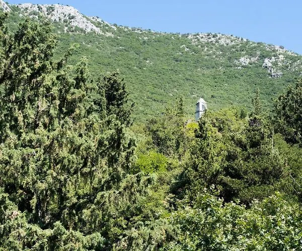 Tatil Evi La Olga Lefkada *